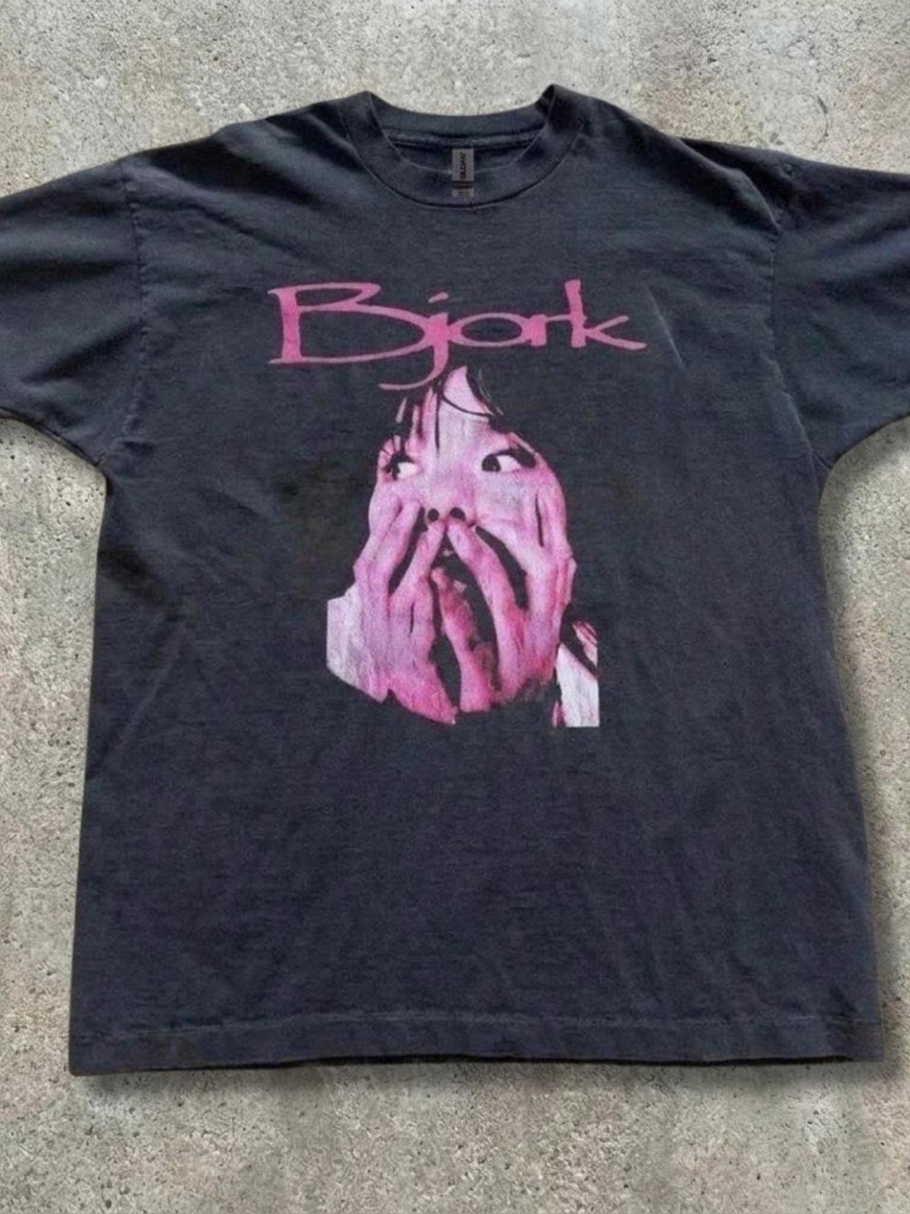 Gildan Black Tee with Pink Björk Graphic